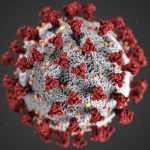 Neues Coronavirus